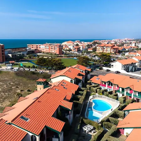 Santocha